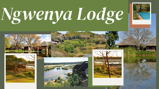 Ngwenya Lodge 21-25 September 2026 ( 4 adult 2 kids )
