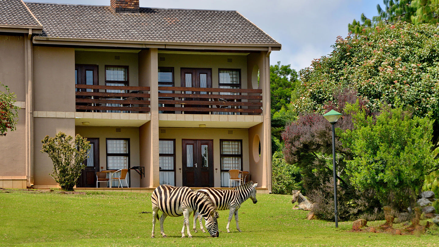 Various Midweeks @ Crystal Springs ( 4 adult 2 kids under 12)